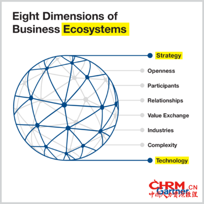 The Eight Dimensions of Business Ecosystem