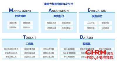 澳鹏（中国）自主研发的大模型智能开发平台