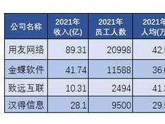 中国20家典型上市软件企业近3年人均营收与利润分析