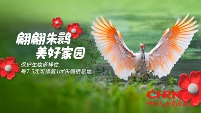 菲仕兰发起“翩翩朱鹮，美好家园”一块走的活动